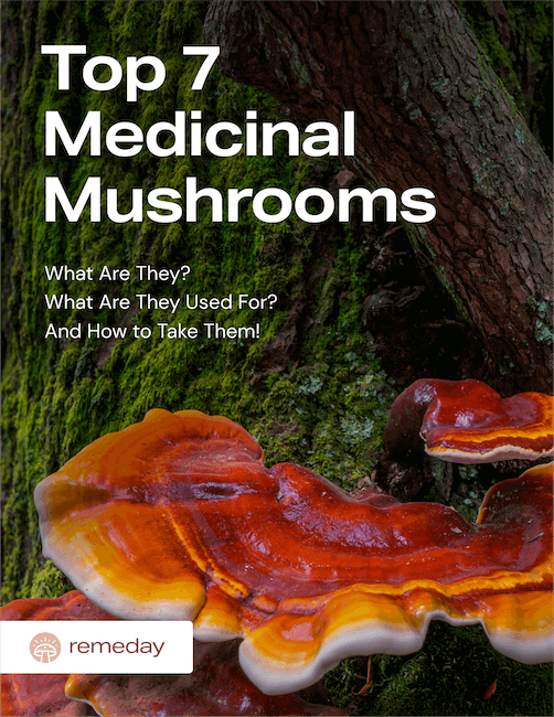 The Top 7 Medicinal Mushrooms PDF